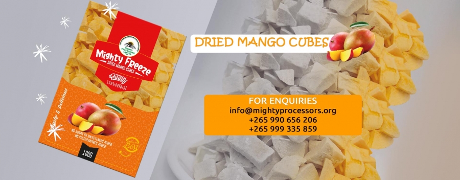 Mighty Freeze- Mango Cubes